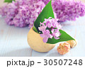 lilac still life purple background 30507248