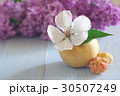 white flower still life vintage background 30507249