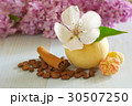 coffee beans still life background 30507250