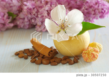 coffee beans still life background 30507250