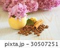 coffee beans lilac flower still life 30507251