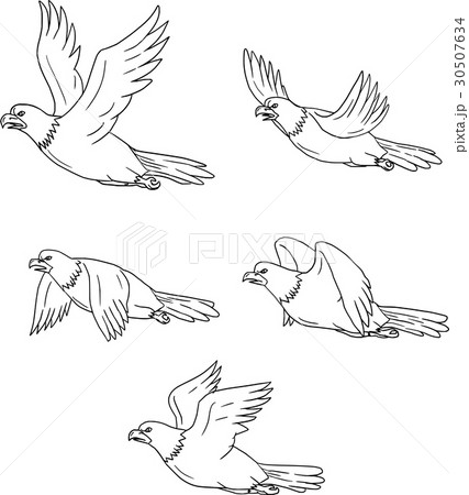 Eagle Flying Side Cartoon Collection Set 30507634