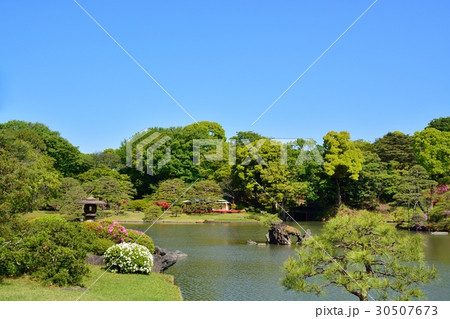 新緑の六義園 新緑の六義園 30507673