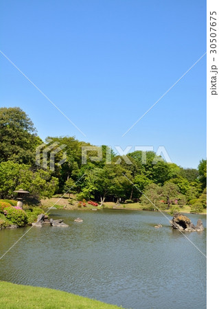 新緑の六義園 30507675