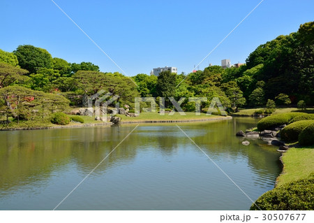 新緑の六義園 30507677
