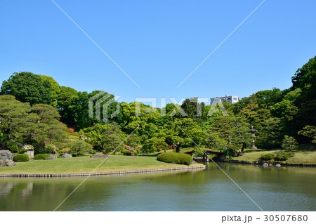 新緑の六義園 30507680