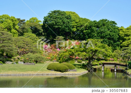 新緑の六義園 30507683
