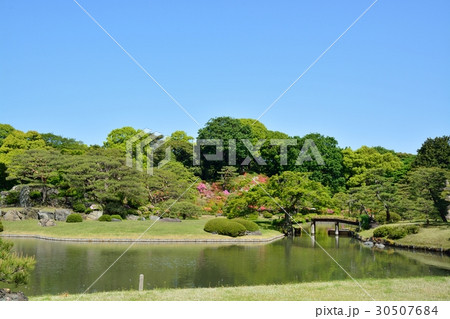 新緑の六義園 30507684