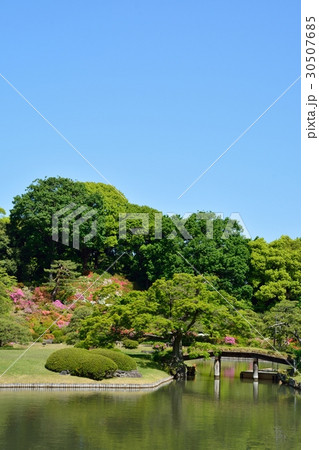 新緑の六義園 30507685