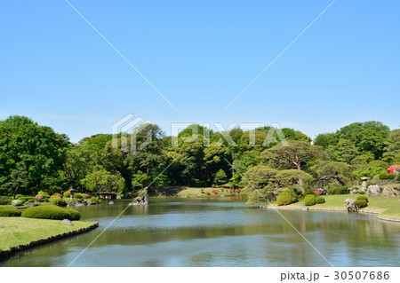 新緑の六義園 30507686