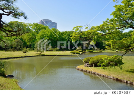新緑の六義園 30507687