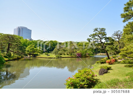新緑の六義園 30507688