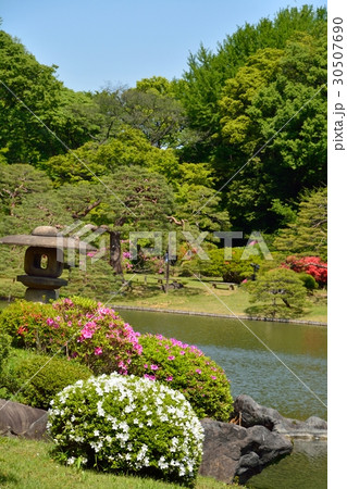 新緑の六義園 30507690