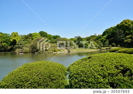 新緑の六義園 新緑の六義園 30507693