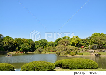 新緑の六義園 30507699