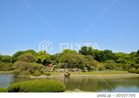 新緑の六義園 30507700