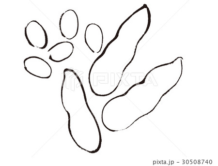 枝豆 水彩画 水墨画のイラスト素材