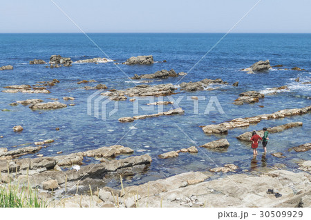 平磯 白亜紀層 平磯 白亜紀層 30509929
