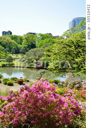 新緑の六義園 新緑の六義園 30510452