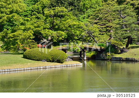 新緑の六義園 30510525