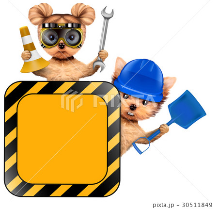 Funny couple of puppies with tools holding 30511849