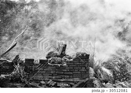 白黒 黒白 モノクロ 30512081