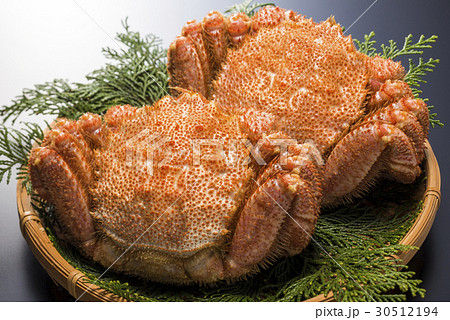 毛ガニ 毛ガニ 30512194