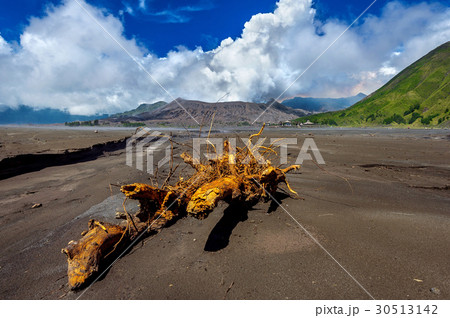 Mount Bromo volcano (Gunung Bromo) 30513142