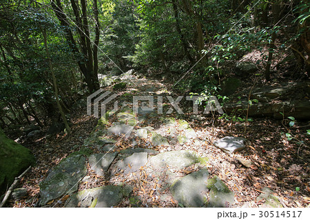 香川県小豆島町 寒霞渓 裏8景 遊歩道 香川県小豆島町 寒霞渓 裏8景 遊歩道 30514517