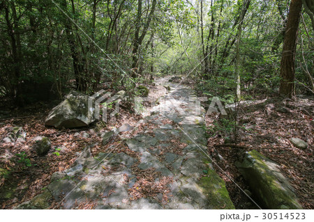 香川県小豆島町 寒霞渓 裏8景 遊歩道 香川県小豆島町 寒霞渓 裏8景 遊歩道 30514523