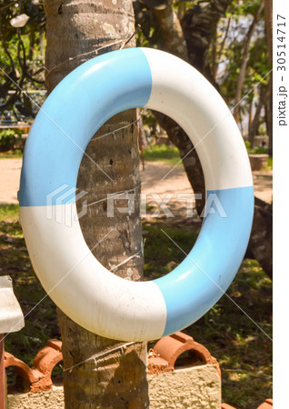 Blue and white rescue buoy hanging Blue and white rescue buoy hanging 30514717