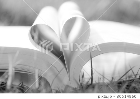 Heart shape from paper book on grass field Heart shape from paper book on grass field 30514960