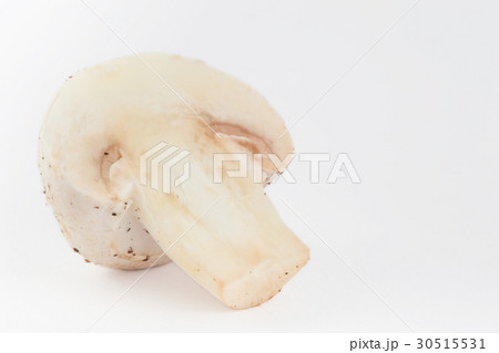 Freshly harvested mushroom (Agaricus bisporus) 30515531
