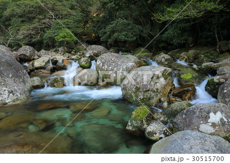 屋久島　横河渓谷（よっごけいこく） 30515700