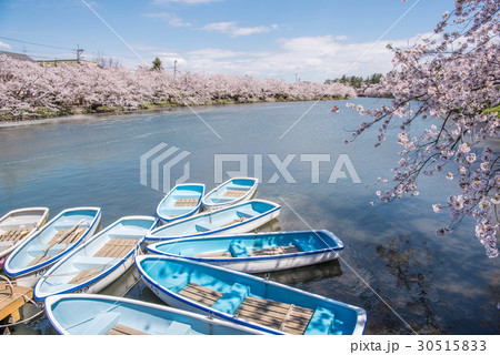 弘前公園の桜 西堀 ボート乗り場の写真素材 30515833 Pixta