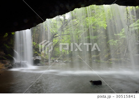 新緑の鍋が滝 新緑の鍋が滝 30515841
