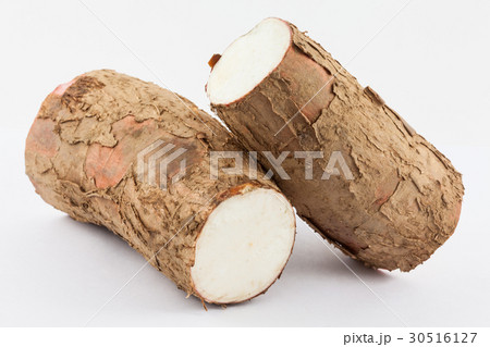 Cassava (Manihot esculenta) isolated 30516127