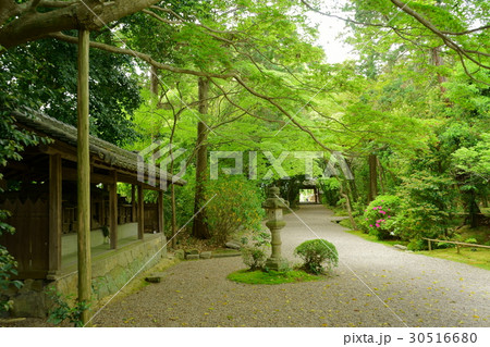 奈良・秋篠寺参道 30516680