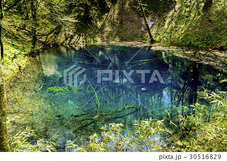 青森県　青池／十二湖 30516829