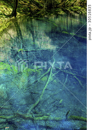 青森県 青池/十二湖 青森県 青池/十二湖 30516835