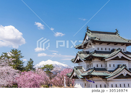 弘前公園の桜　天守　岩木山 30516974