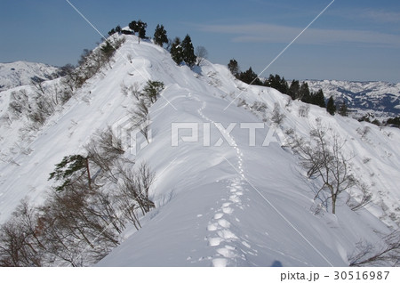 冬の坂戸山 30516987