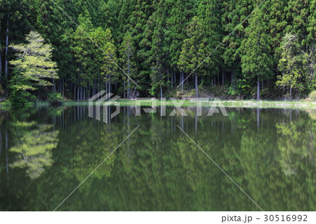 静寂 静寂 30516992