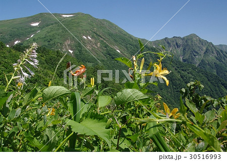 仙ノ倉山 30516993