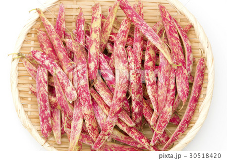 うずら豆 うずら豆 30518420