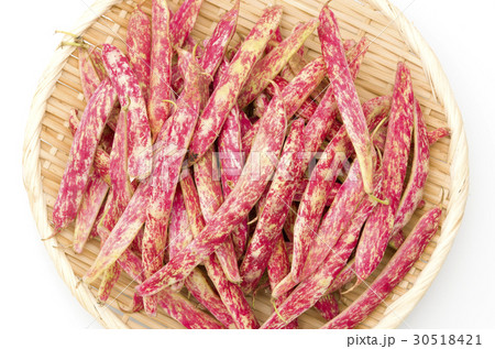 うずら豆 うずら豆 30518421