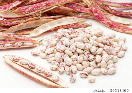 うずら豆 30518469