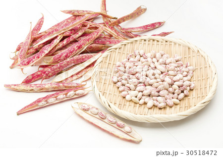 うずら豆 30518472