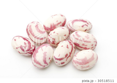 うずら豆 30518511