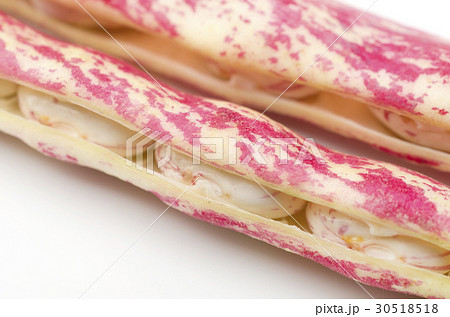 うずら豆 30518518